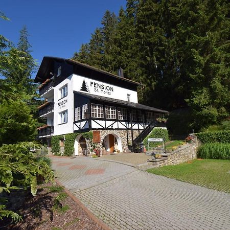 Pension St. Moritz Железна-Руда Экстерьер фото
