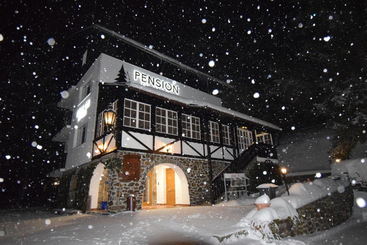 Pension St. Moritz Железна-Руда Экстерьер фото